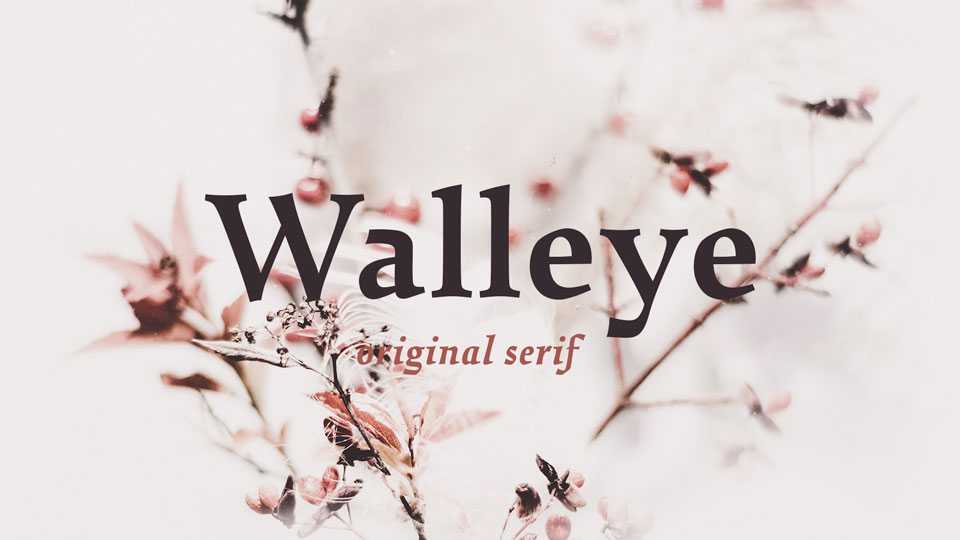 Walleye Font Family › Fontesk