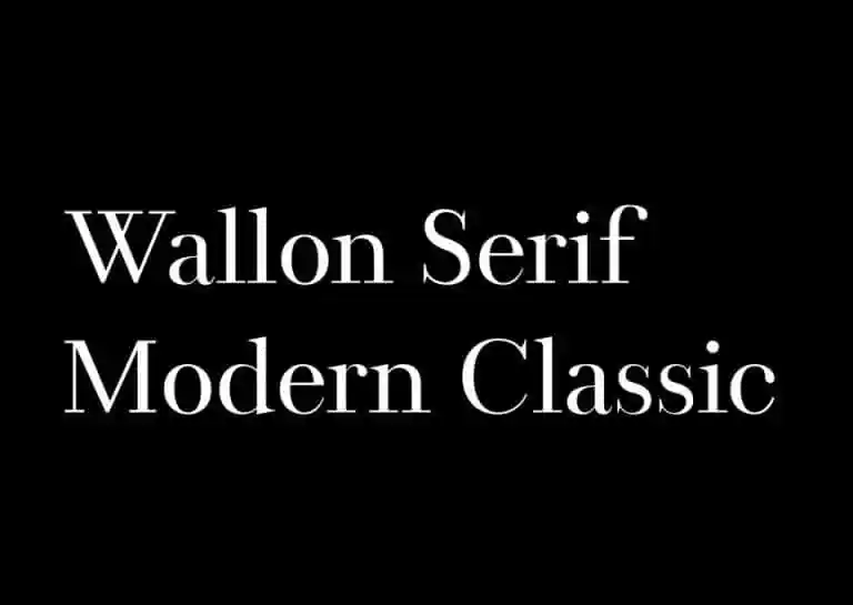 Wallon Serif Font