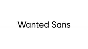 Wanted Sans Font Family › Fontesk