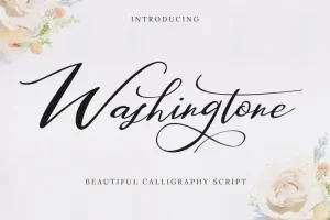 Washingtone Calligraphy Font