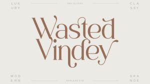 Wasted Vindey Font › Fontesk