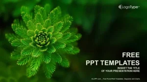 Water Plant-Nature-PowerPoint Templates