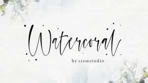 Watercoral Font › Fontesk