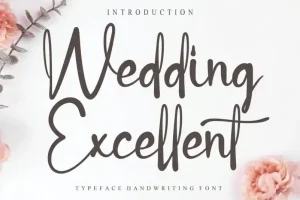 Wedding Excellent Script Font