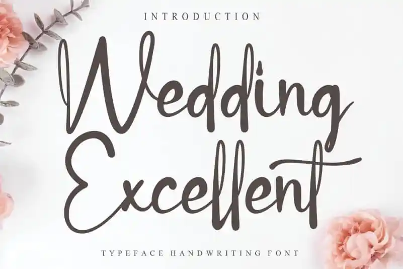Wedding Excellent Script Font