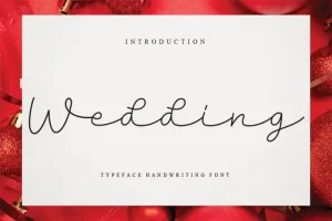 Wedding Script Font