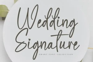 Wedding Signature Script Font