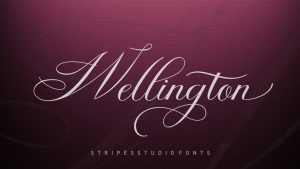 Wellington Font › Fontesk