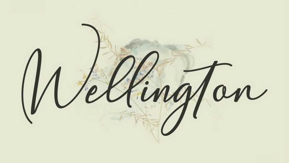 Wellington Script Font › Fontesk