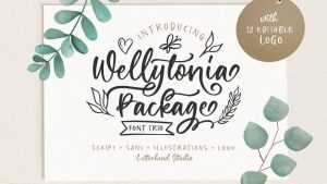 Wellytonia Script Font › Fontesk