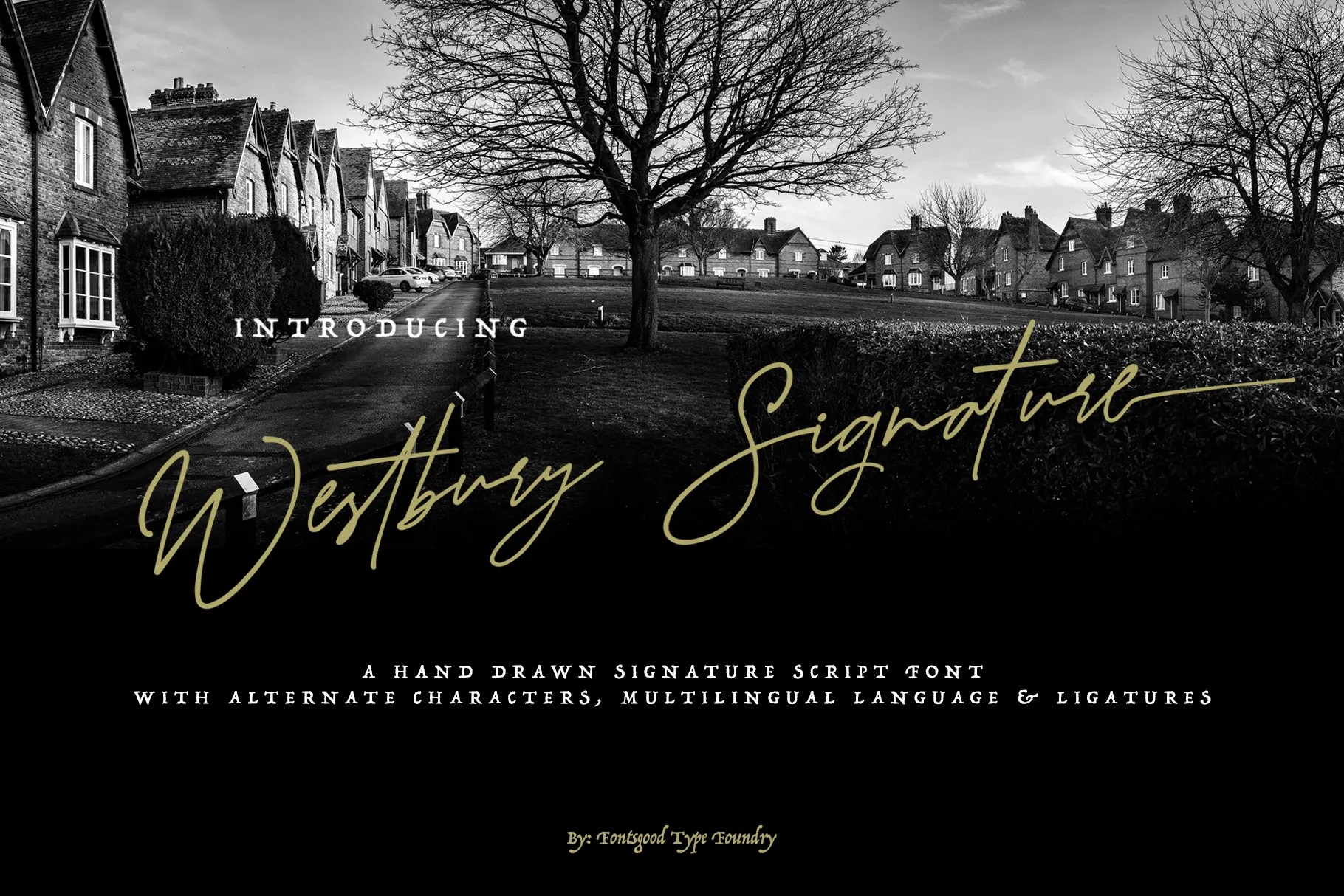 Westbury Signature Demo Font