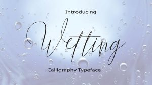 Wetting Script Font › Fontesk