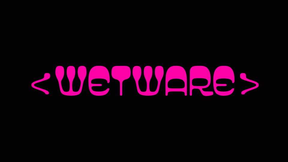 Wetware Font › Fontesk