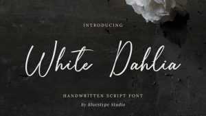 White Dahlia Font › Fontesk