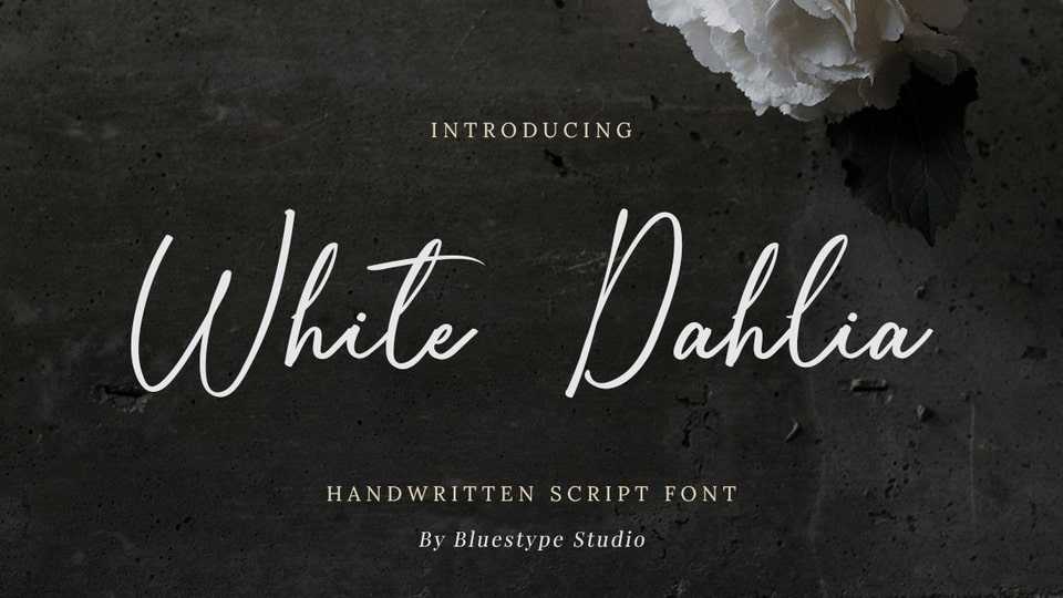 White Dahlia Font › Fontesk