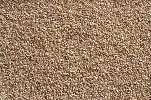 Whole Wheat Texture