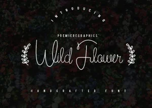 Wild Flower Script Font