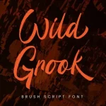 Wild Grook Font