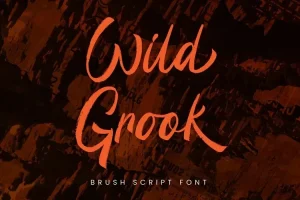Wild Grook Font