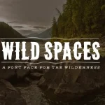 Wild Spaces Typeface
