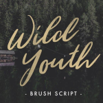 Wild Youth Font - Fonte Grátis Wild Youth Font