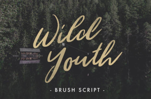 Wild Youth Font