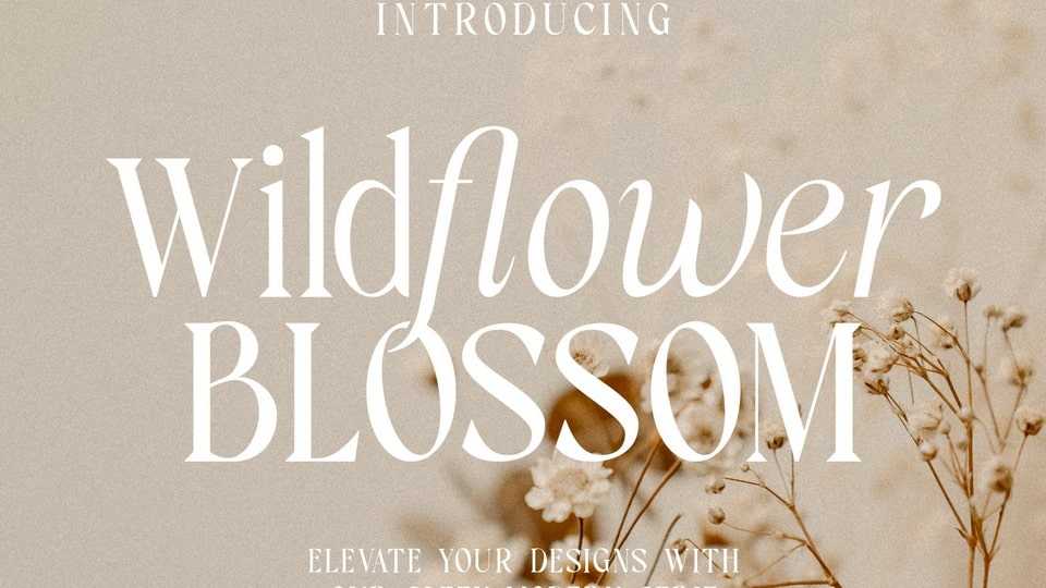 Wildflower Blossom Font › Fontesk