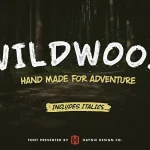 Wildwood Dry Brush Font