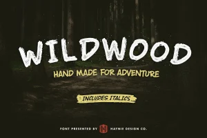 Wildwood Dry Brush Font