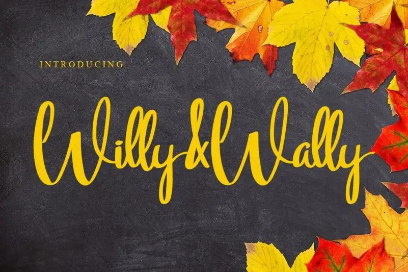 Willy & Wally Script Font