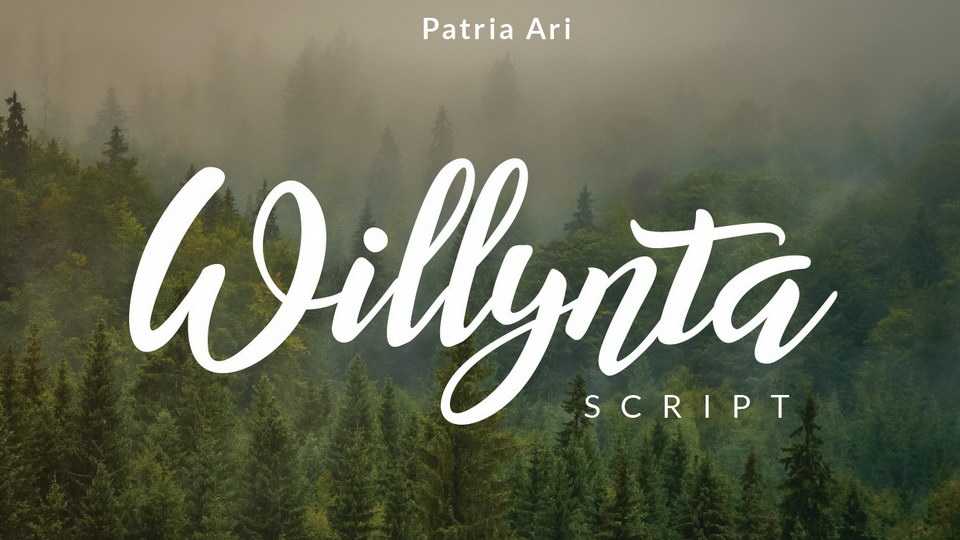 Willynta Script Font › Fontesk