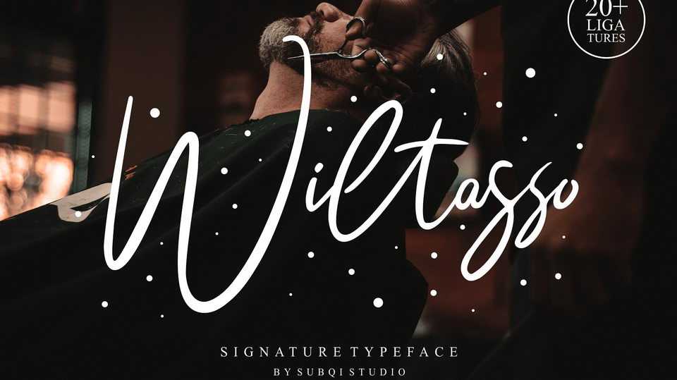 Wiltasso Script Font › Fontesk