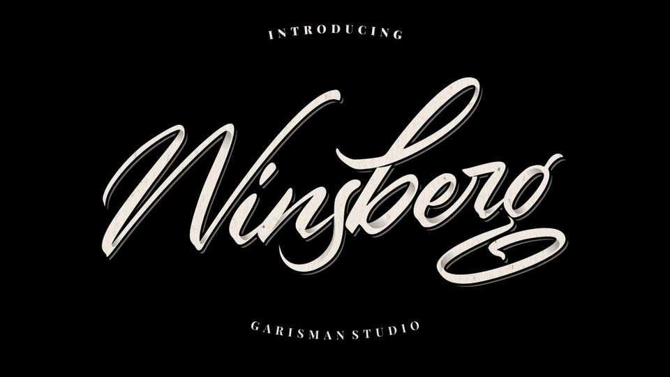 Winsberg Script Font › Fontesk