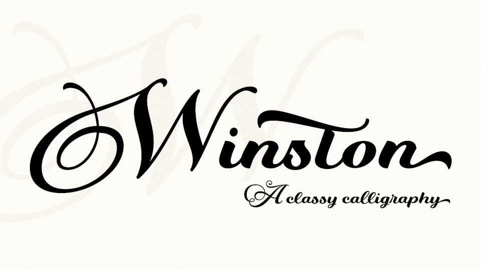Winston Font › Fontesk