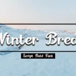 Winter Break Calligraphy Font - Fonte Grátis Winter Break Calligraphy Font