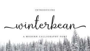 Winterbean Script Font › Fontesk