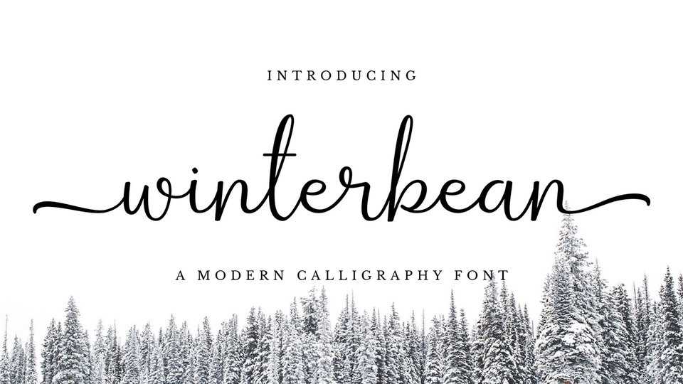 Winterbean Script Font › Fontesk