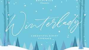 Winterlady Script Font › Fontesk
