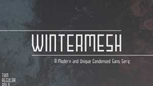 Wintermesh Font › Fontesk