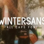 Wintersans Sans Serif Font