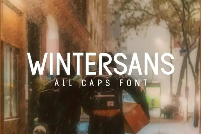Wintersans Sans Serif Font