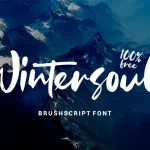 Wintersoul Brush Font