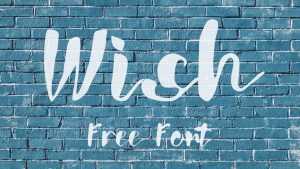 Wish Script Download › Fontesk
