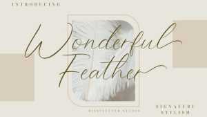 Wonderful Feather Font › Fontesk