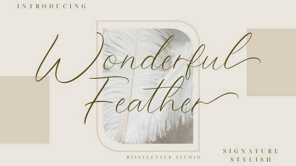 Wonderful Feather Font › Fontesk