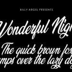 Wonderful Night Script Font