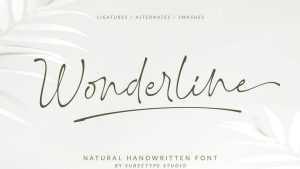 Wonderline Script Font › Fontesk