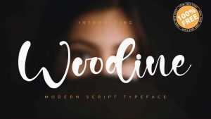 Woodine Script Font › Fontesk