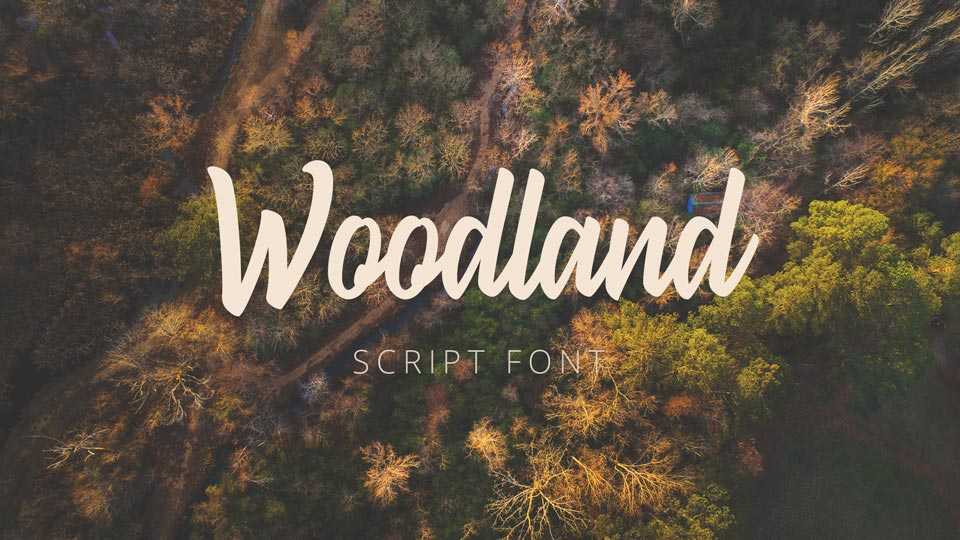 Woodland Script › Fontesk
