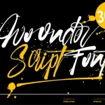 Woonder Script Font
